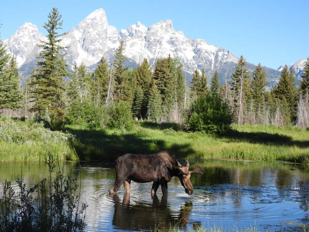 clear alpine lake wate