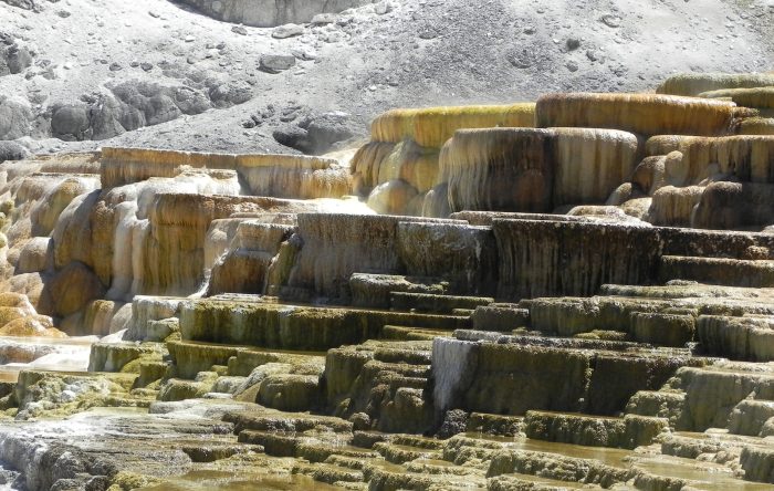 Mammoth Hot Springs terraces in Yellowstone National Park