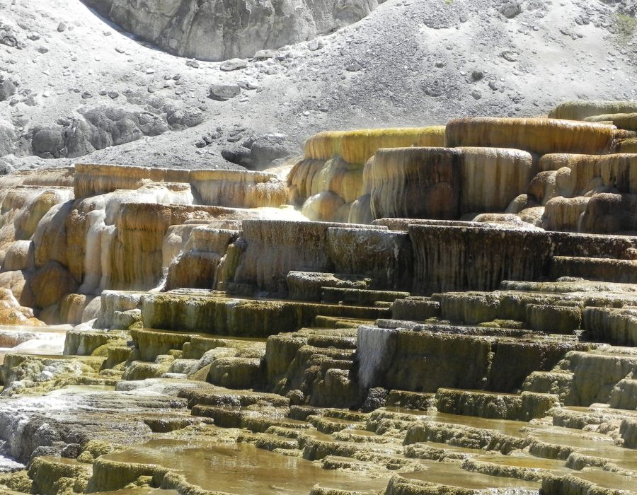 Mammoth Hot Springs terraces in Yellowstone National Park