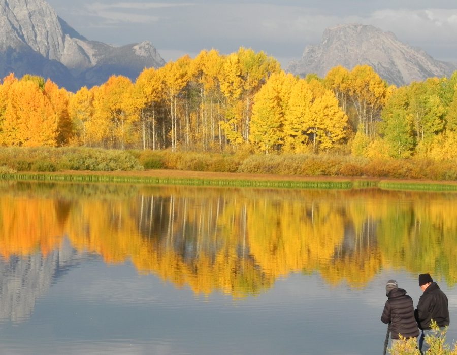 autumn trees reflecting in calm lake with mountain peak