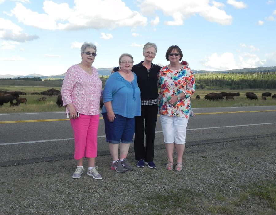 visitors posing together in open valley viewpoint