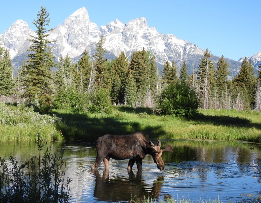 clear alpine lake wate