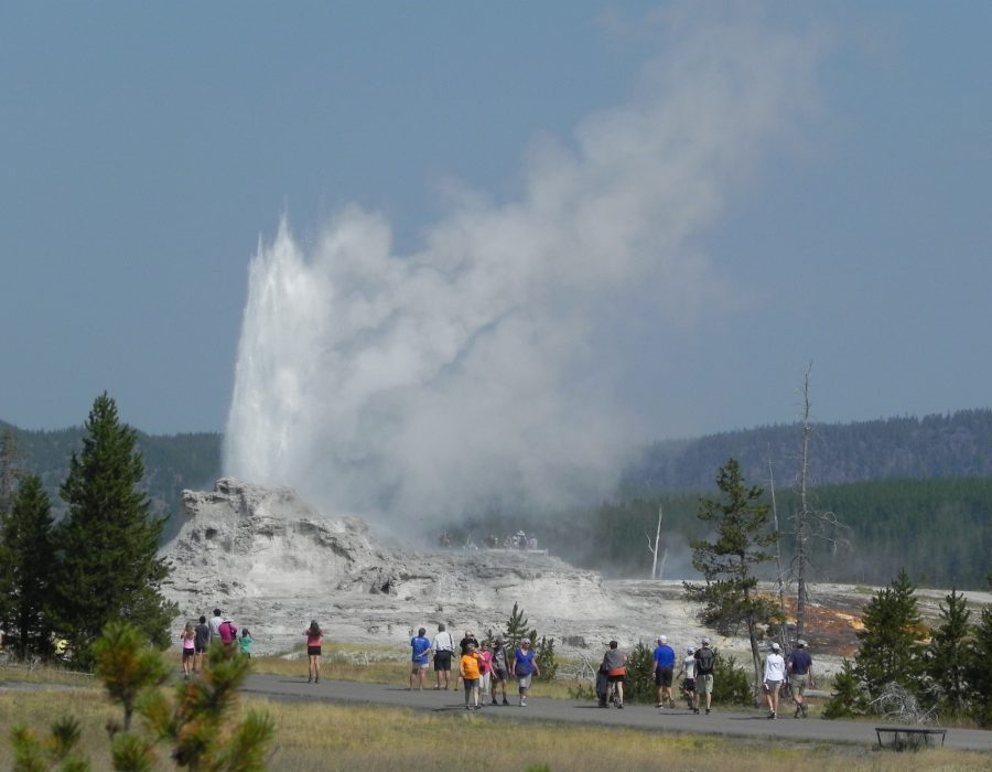 Old Faithful geyser erupting with visitors watching in Yellowstone